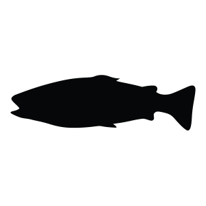 Fish Silhouette Stencil