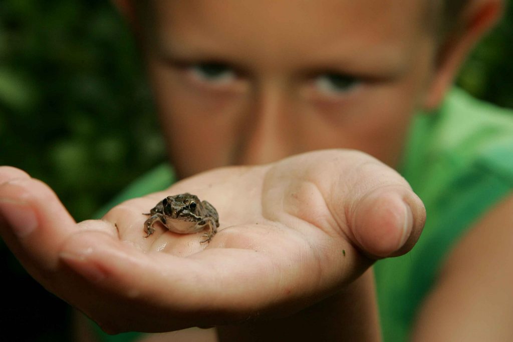 Child Holding Frog